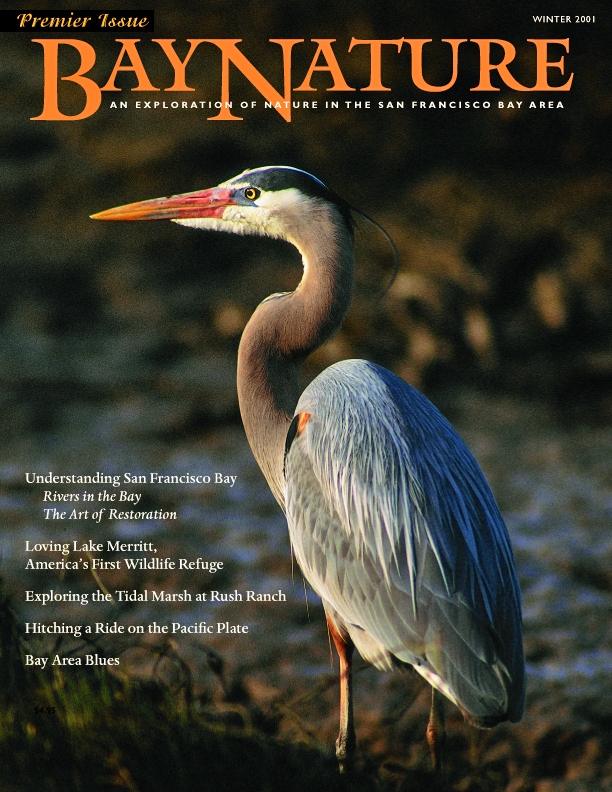 Product Description: Bay Nature's inaugural issue explores San Francisco Bay, Lake Merritt, Rush Ranch, and life on the Pacific Plate.</br> Bay Nature Winter 2001