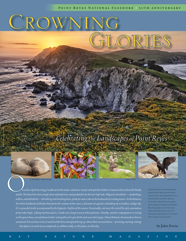 Product Description: We mark Point Reyes National Seashore's 50th anniversary by looking at the peninsula's signature habitats through the eyes of five noted authors: Introduction and estero by Jules Evens, outer coast by Claire Peaslee, bishop pine forest by David Rains Wallace, shrublands by Judith Lowry, and grasslands by Greg Sarris.</br></br>To purchase supplements in bulk, please contactjenny@baynature.orgor call 510-528-8550 x100.</br> Crowning Glories
