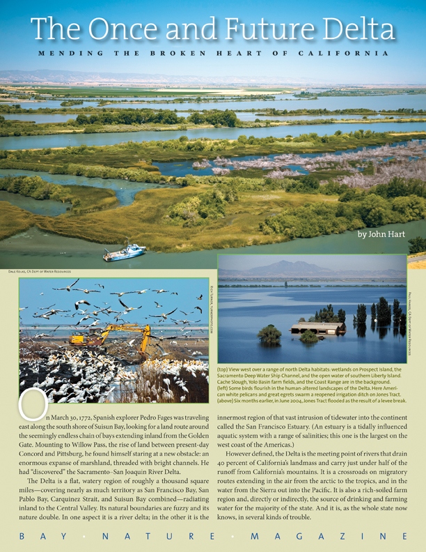 Product Description: About the only thing people agree on about the Sacramento-San Joaquin Delta the subject of countless white papers, editorials, and political debates is that it's in a heap of trouble. But this 1,000-square-mile patchwork of islands, sloughs, wetlands, and farmlands is also a rich and complex if highly altered ecosystem at the core of the San Francisco Estuary. Here we take a look behind today's news to understand what the Delta once was, how it has been changed, and what it might become . . . with a lot of help from its friends.</br></br>To purchase supplements in bulk, please contactjenny@baynature.orgor call 510-528-8550 x100.</br> The Once and Future Delta