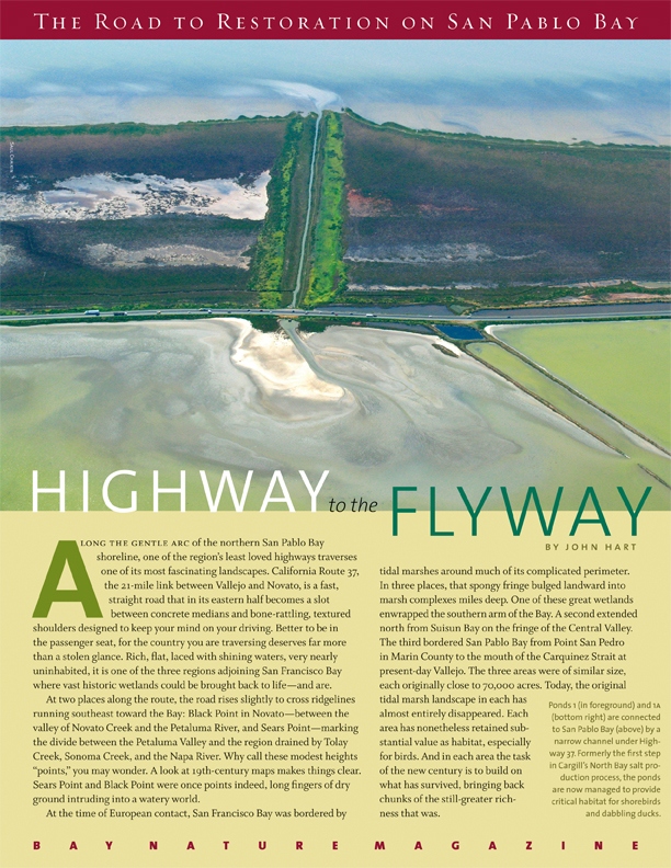 Product Description: Though they get a lot less attention than their South Bay counterparts, the ongoing restoration efforts in the North Bay, particularly along the Highway 37 corridor near San Pablo Bay, are guided by the same bold vision of bringing back large swaths of the wildlife-rich wetlands that once characterized much of the San Francisco Bay shoreline.</br></br>To purchase supplements in bulk, please contactjenny@baynature.orgor call 510-528-8550 x100.</br> Highway to the Flyway