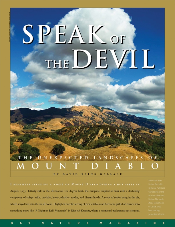 Product Description: Mount Diablo is such a towering icon of our landscape that it is sometimes easy to forget how much complexity lies within its familiar outline. Indeed, the mountain holds many stories: from the drama of its birth under the ocean, to its (mis)naming by early American settlers, to last year's rediscovery of the rare Mount Diablo buckwheat. Today the story continues, with the mountain and its surrounding ridges and canyons anchoring a bold vision for a broad swath of protected open space and wildlife corridors stretching from Concord to Livermore.</br></br>To purchase supplements in bulk, please contactjenny@baynature.orgor call 510-528-8550 x100.</br> Speak of the Devil