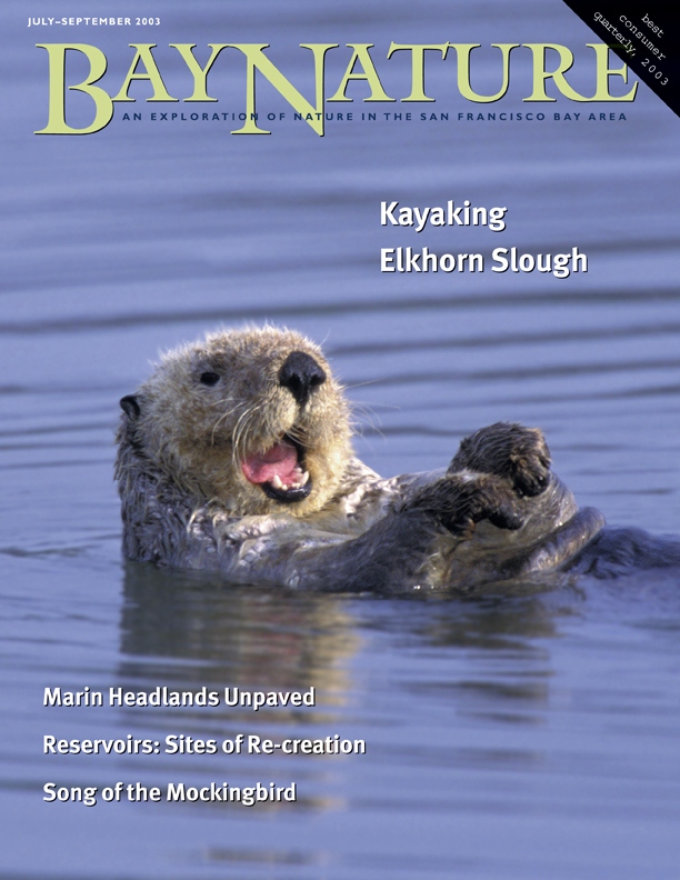 Product Description: Bay Nature Summer 2003