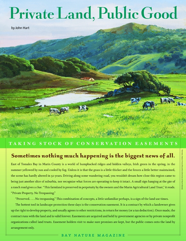 Product Description: How do you preserve significant parcels of open space in an era of rising land prices and shrinking public budgets? In the 1990s, more Bay Area land was protected using conservation easements, where the owner can stay on the land but gives up development rights, than by outright purchase. Though not without their critics, easements are reshaping the way we go about saving our local landscapes.</br></br>To purchase supplements in bulk, please contactjenny@baynature.orgor call 510-528-8550 x100.</br> Taking Stock of Conservation Easements