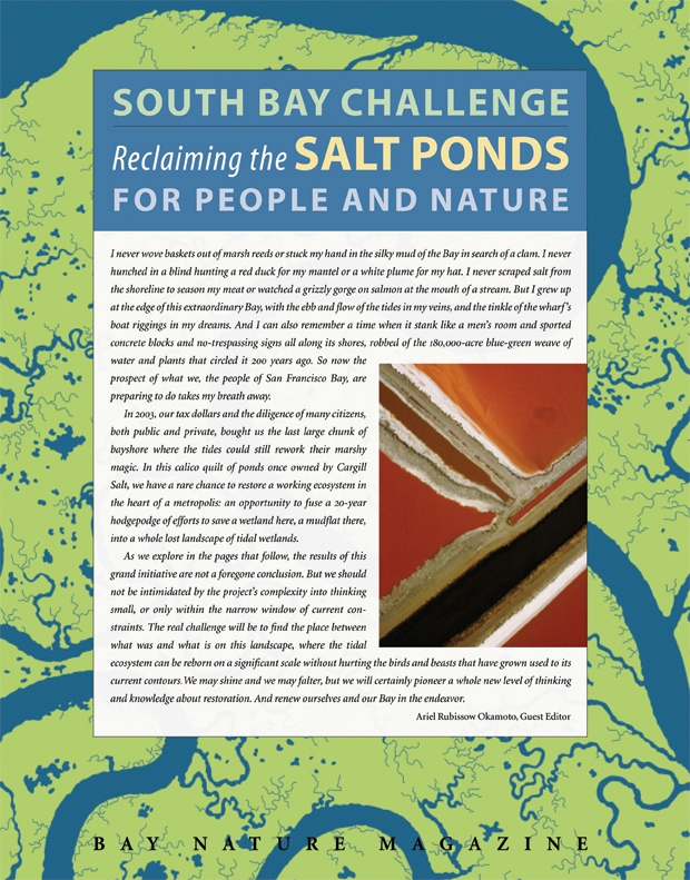 Product Description: The ambitious effort to restore thousands of acres of salt marsh in the South Bay has been germinating for the past decade. Now it's showtime.</br></br>To purchase supplements in bulk, please contactjenny@baynature.orgor call 510-528-8550 x100.</br> Reclaiming the Salt Ponds for People and Nature