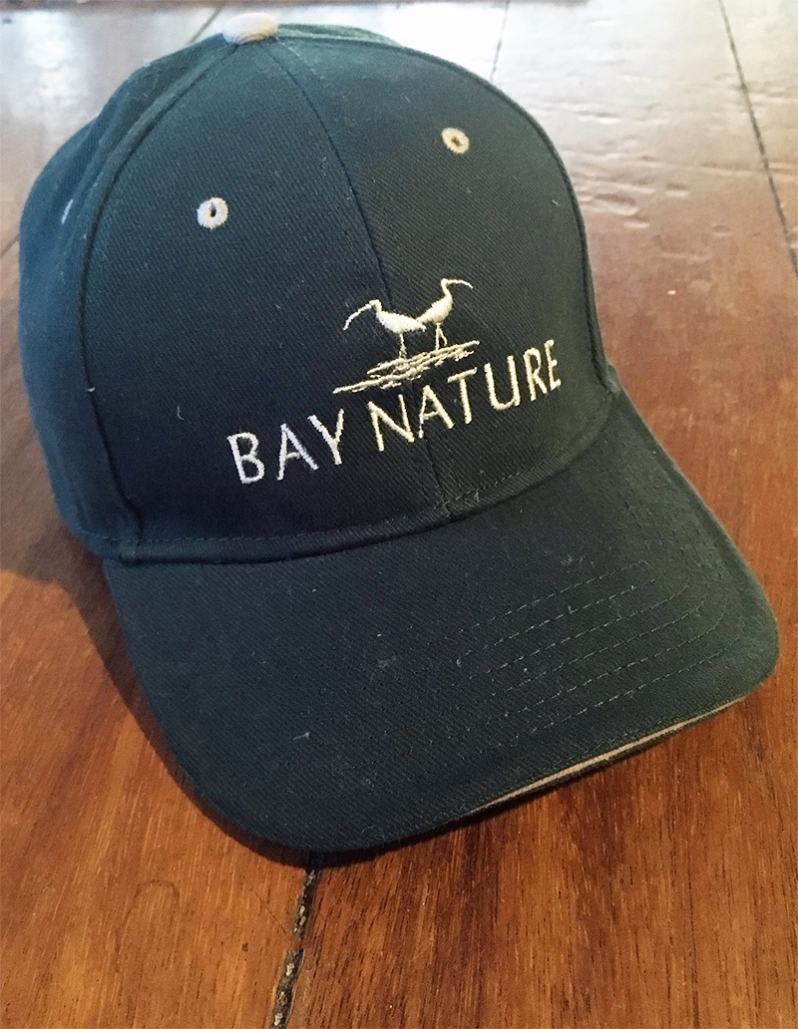 Product Description: Shade yourself from the sun's rays on your next hike with this sturdy and attractive baseball cap. In forest green with the Bay Nature logo in natural stitching. One size fits most, with an adjustable velcro strap in the back. 100% cotton.</br> Bay Nature Hat