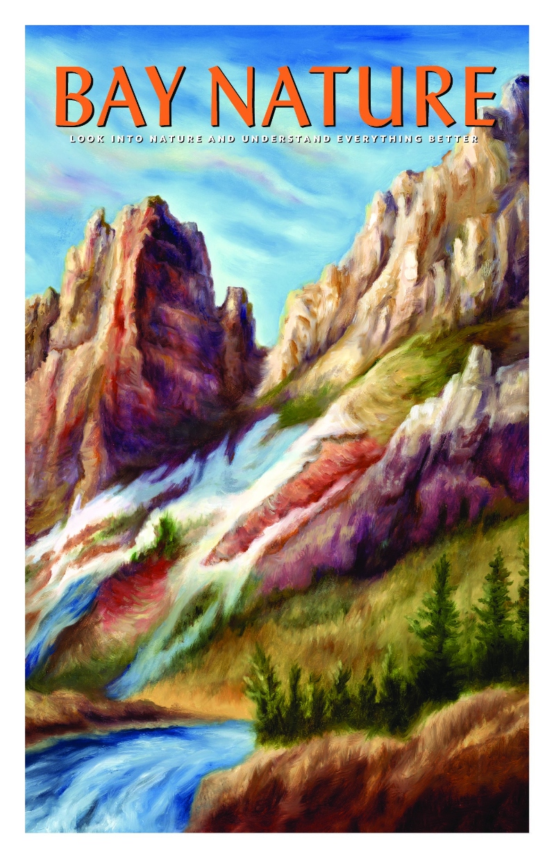 Product Description: 11"x17" poster</br>Very limited quantities available!</br></br>This limited-edition poster features the first Bay Nature cover taken from an oil painting, a landscape painted for Bay Nature's Winter 2022 issue by the internationally acclaimed artist Owen Smith.</br>This issue explored the vast ancient riverbeds that flow out of the Sierra Nevada, which might someday store water to mitigate future droughts.</br> Owen Smith Poster