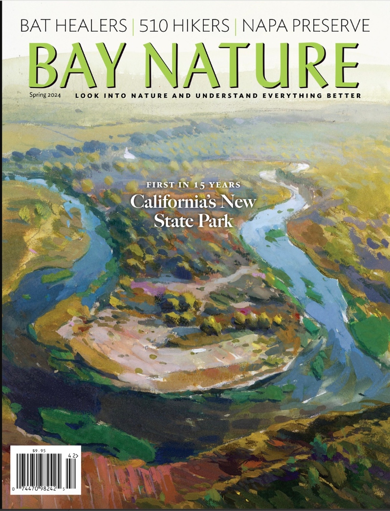 Product Description: Springtime: let's go to the park! Specifically, California's first new state park in 15 years, Dos Rios Ranch. The parks director calls it "a park of the future," and Dos Rios has a lot to do—including for Indigenous people. We go hiking with the super-inclusive 510 Hikers, and we meet up with people who care for needy bats. We profile four special Local Hero Award winners. We go out to a new Napa preserve that's cultivating a stewardship culture. Plus: the public spaces that our cemeteries afford us, radical nature embroidery, the greenest of beetles, and why plants cry (in a way).</br></br>Cover painting by G Yang.</br> Bay Nature Spring 2024