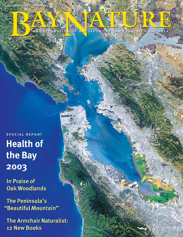 Product Description: Bay Nature Fall 2003