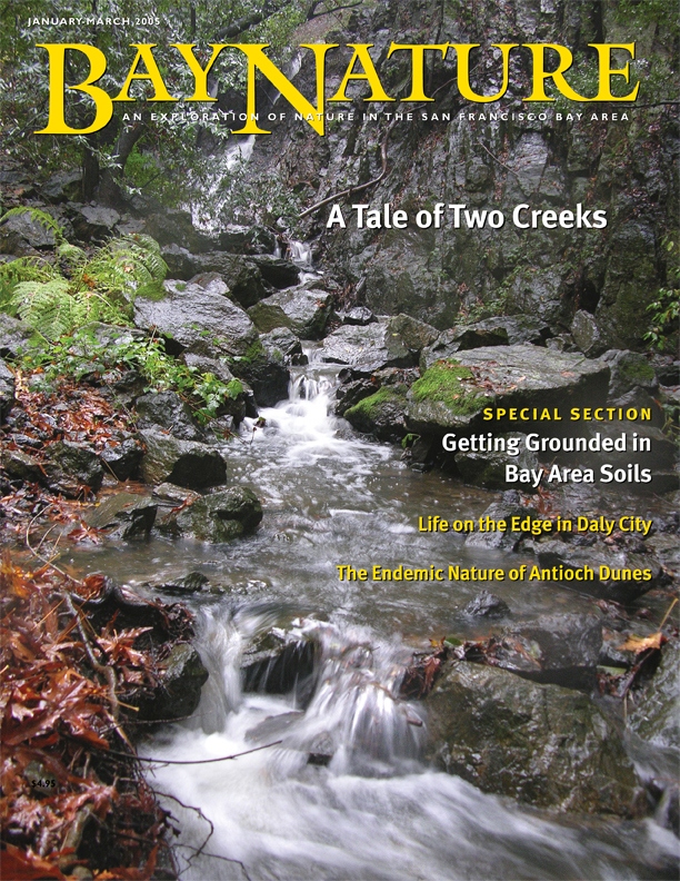 Product Description: Bay Nature Winter 2005