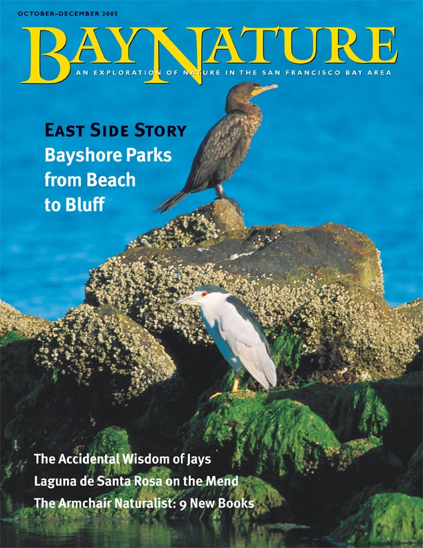 Product Description: Bay Nature Fall 2005