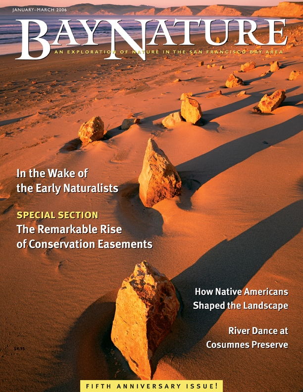 Product Description: Bay Nature Winter 2006