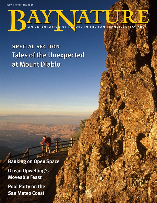 Product Description: Bay Nature Summer 2006