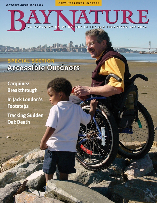 Product Description: Bay Nature Fall 2006