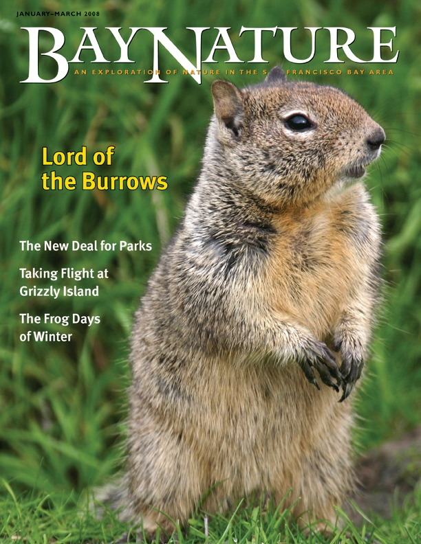 Product Description: Bay Nature Winter 2008