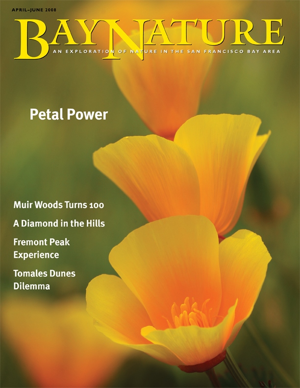 Product Description: Bay Nature Spring 2008