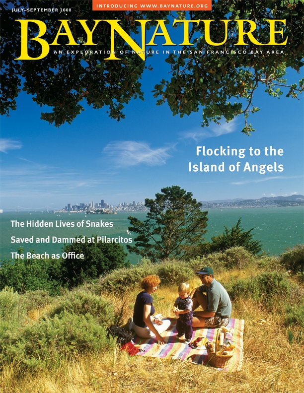 Product Description: Bay Nature Summer 2008