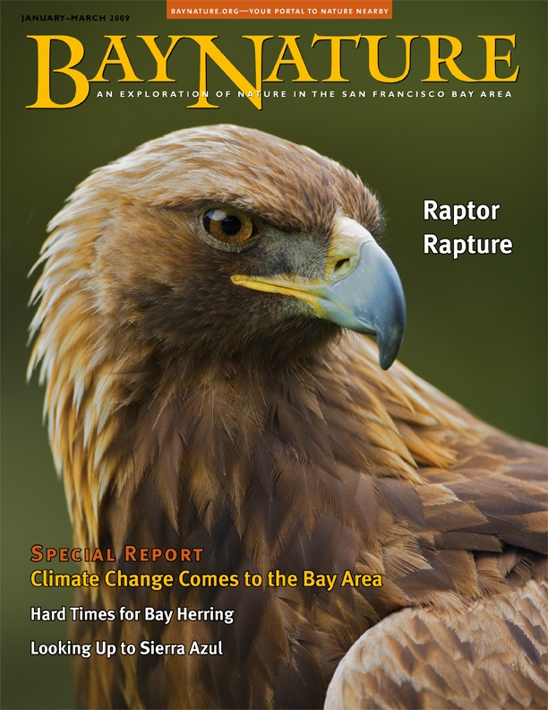 Product Description: Bay Nature Winter 2009