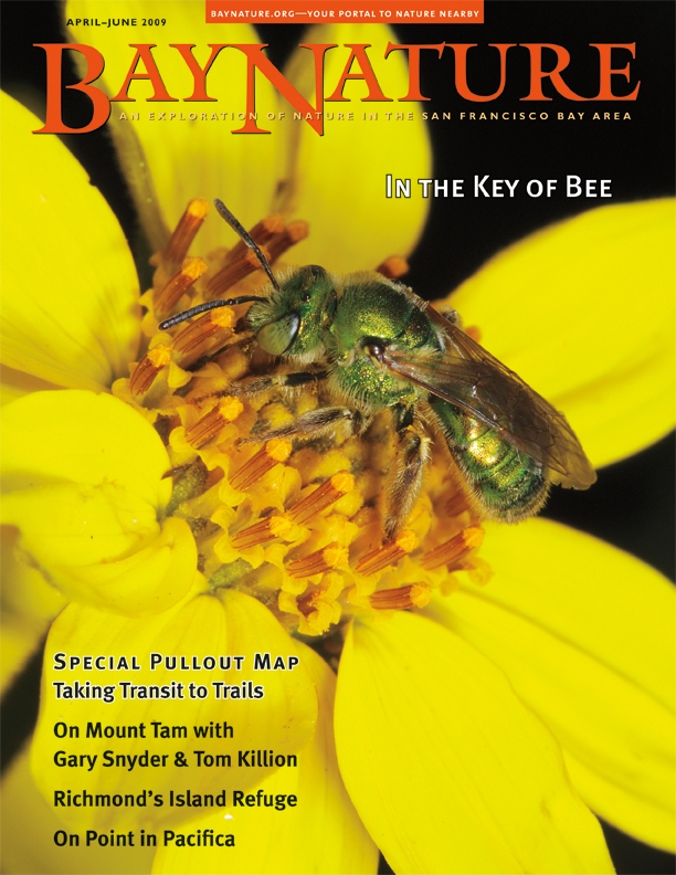 Product Description: In this issue, our updated Transit to Trails map offers many options for getting out into nature via public transit. You can also learn about the numerous Bay Area species of native bees, the history and habitat of Brooks Island, and the community effort that has protected and restored Mori Point. Or peruse the beautiful woodcut prints and text in an excerpt from Gary Snyder's and Tom Killion's new collaborative book, Tamalpais Walking. Cover photo by Rollin Coville.</br> Bay Nature Spring 2009