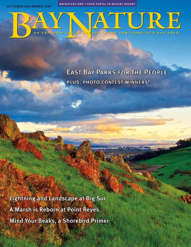 Product Description: This issue looks forward to future challenges facing the East Bay Regional Park District at its 75th anniversary. We also celebrate the phenomenally successful restoration of Giacomini Wetland at the southern end of Tomales Bay and explore the effects of fire on the landscape, in the huge 2008 Basin Complex Fire in the Ventana Wilderness, the 2007 Lick Fire at Henry Coe State Park, and the 2008 San Bruno Mountain fire.</br></br>Cover photo by Jerry Ting.</br> Bay Nature Fall 2009