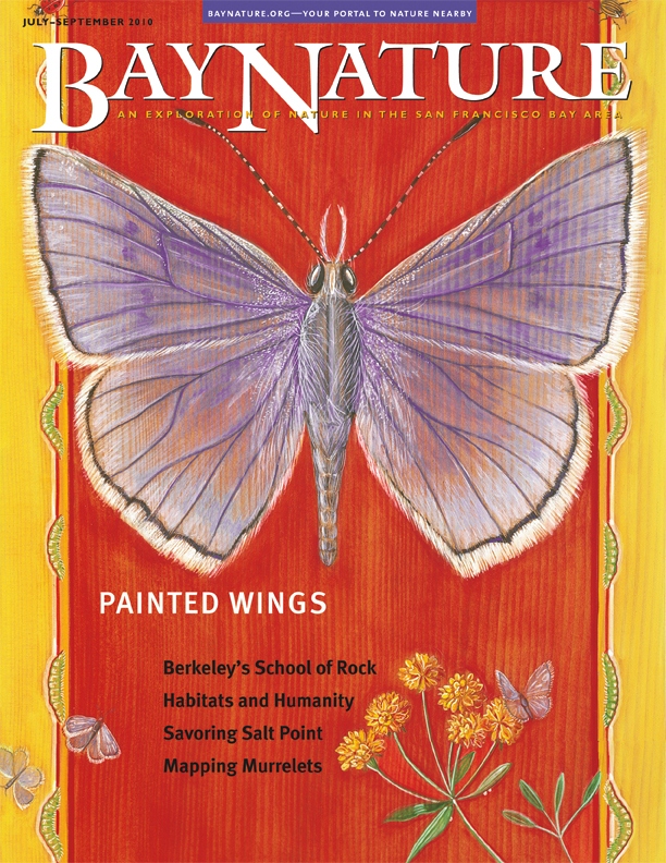 Product Description: Our summer 2010 issue encompasses the long-lasting rocks of the East Bay hills and geology of Salt Point State Park and the ephemeral MaryAnn Nardo's stunning paintings of delicate local butterflies, as well as efforts to protect and restore habitat for rare species on East Bay Regional Park District lands, conditions that create our welcome summer afternoon breezes around the Bay, and the amazing communication that happens within the colony of ants that's crashing your picnic.</br></br>Cover illustration by MaryAnn Nardo.</br> Bay Nature Summer 2010