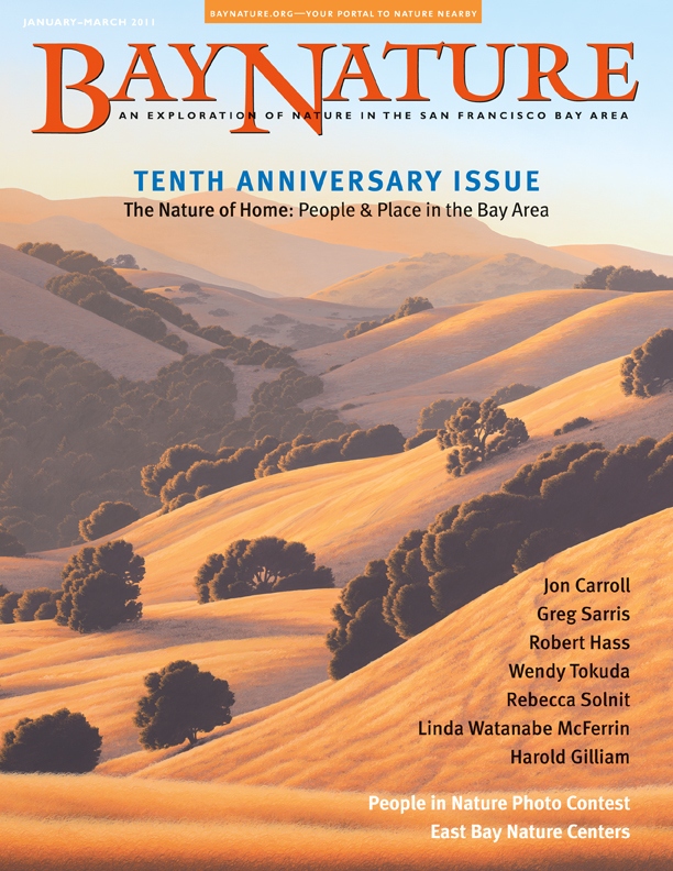 Product Description: This very special tenth-anniversary issue features original work from many of our favorite authors, including Robert Hass, Rebecca Solnit, Greg Sarris, Jon Carroll, Wendy Tokuda, Linda Watanabe McFerrin, and others. We bring you winning photos from our People in Nature photo contest and interview Harold Gilliam, Bay Nature award winner and dean of local environmental journalism.</br></br>Cover illustration by Kathleen Lipinsky, emerylipinski.com.</br> Bay Nature Winter 2011