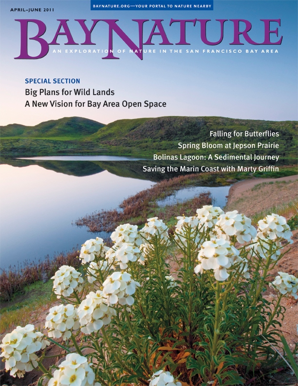 Product Description: We bring you news of a landmark conservation plan for the Bay Area, plus explorations of Bolinas Lagoon, butterflies in the East Bay, and the spring wildflowers (and otherwordly critters) at Jepson Prairie in Solano County.</br></br>Cover photo by John W. Wall, jwallphoto.blogspot.com.</br> Bay Nature Spring 2011