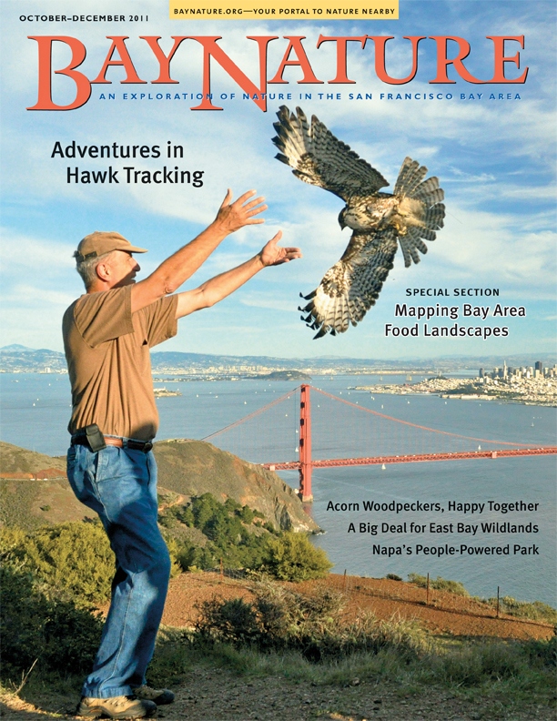 Product Description: Our fall 2011 issue includes a landmark foldout map of Bay Area Food Landscapes, along with features about volunteer hawkwatchers.</br> Bay Nature Fall 2011