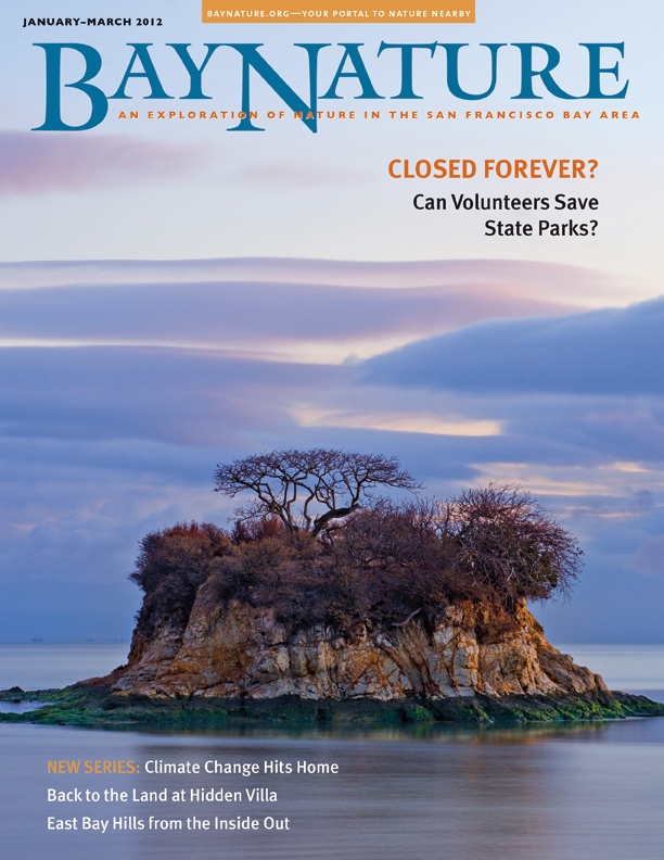 Product Description: In this issue, you'll find out how volunteers are helping save state parks, from Jack London to Henry Coe.</br> Bay Nature Winter 2012