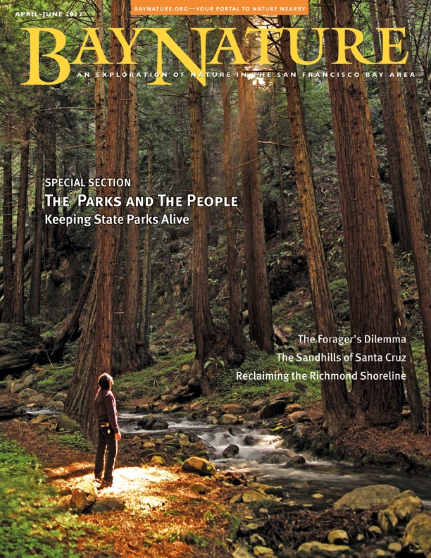 Product Description: Our spring issue brings you the latest on the movement to save state parks and asks tough questions about wild food.</br> Bay Nature Spring 2012