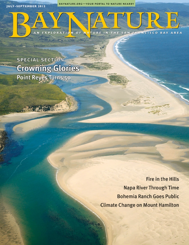 Product Description: Our summer issue, our longest ever, includes a special section celebrating the 50th anniversary of Point Reyes National Seashore. In it, some of our favorite writers share intimate portraits of the signature habitats of this signature park. Also featured in this issue are the Napa River's ecological history, Sonoma's new Bohemia Preserve, and the prescribed-burn approach to fire management in an East Bay Regional Park. Other stories focus on cuckoo wasps, nature geometry for kids, a beach plastic monitoring program, and more.</br></br>Cover photo by Todd Pickering, toddpickering.com.</br> Bay Nature Summer 2012