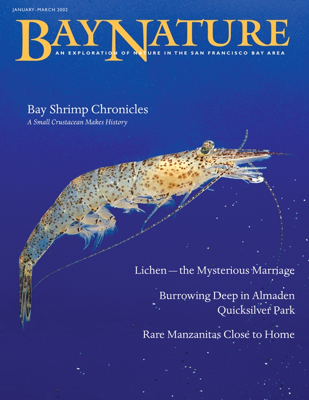 Product Description: Bay Nature Winter 2002