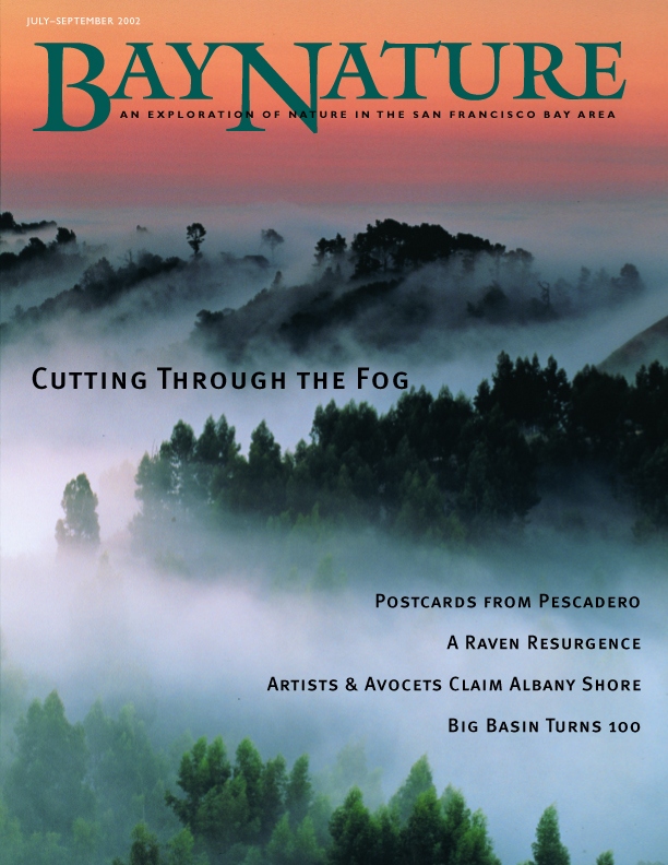 Product Description: Bay Nature Summer 2002