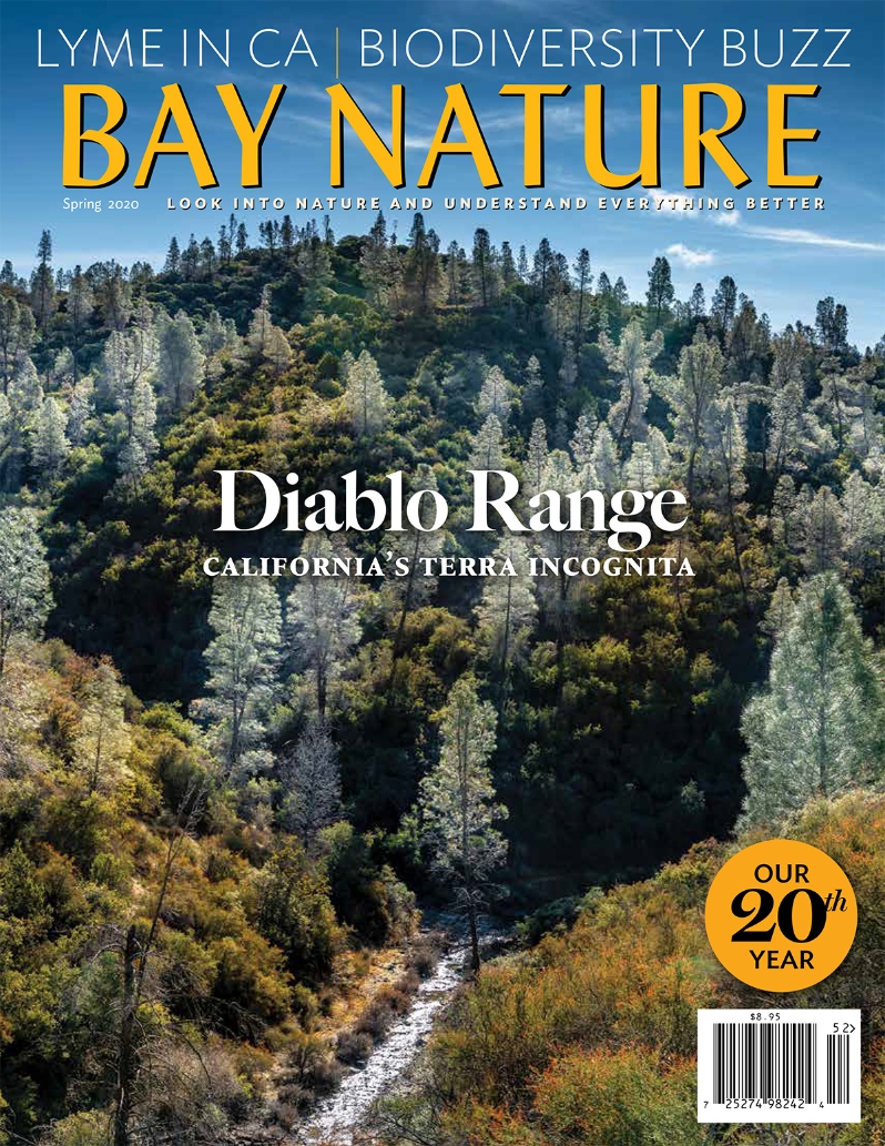Product Description: Bay Nature's Spring 2020 issue explores different facets of biodiversity, from the ways biodiversity affects the spread of diseases like Lyme to the unique features of the rugged Diablo Range to the state's attempt to become a world leader in conservation.</br>Cover photo by Stephen Joseph</br> Bay Nature Spring 2020