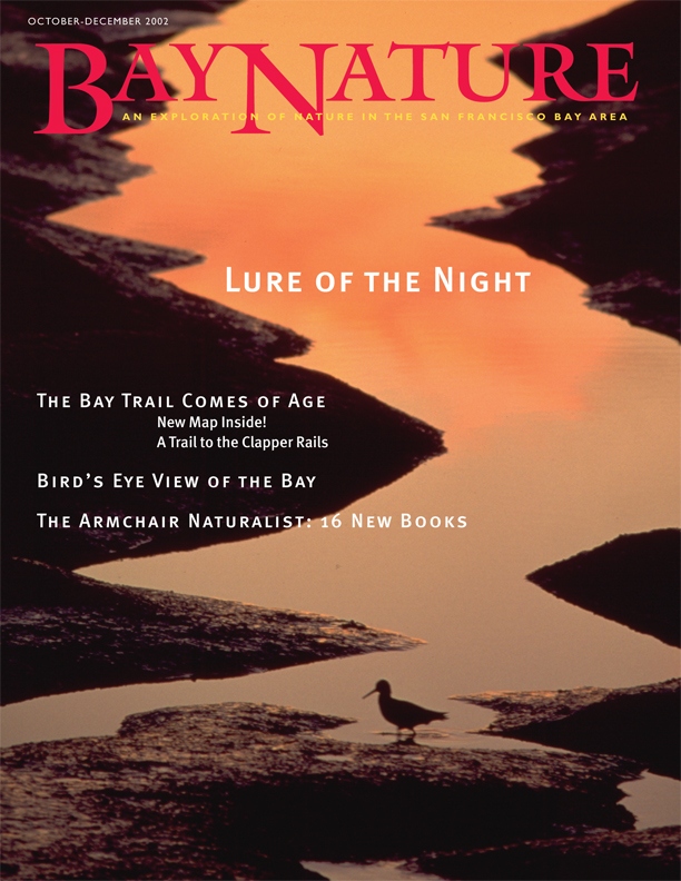 Product Description: Bay Nature Fall 2002