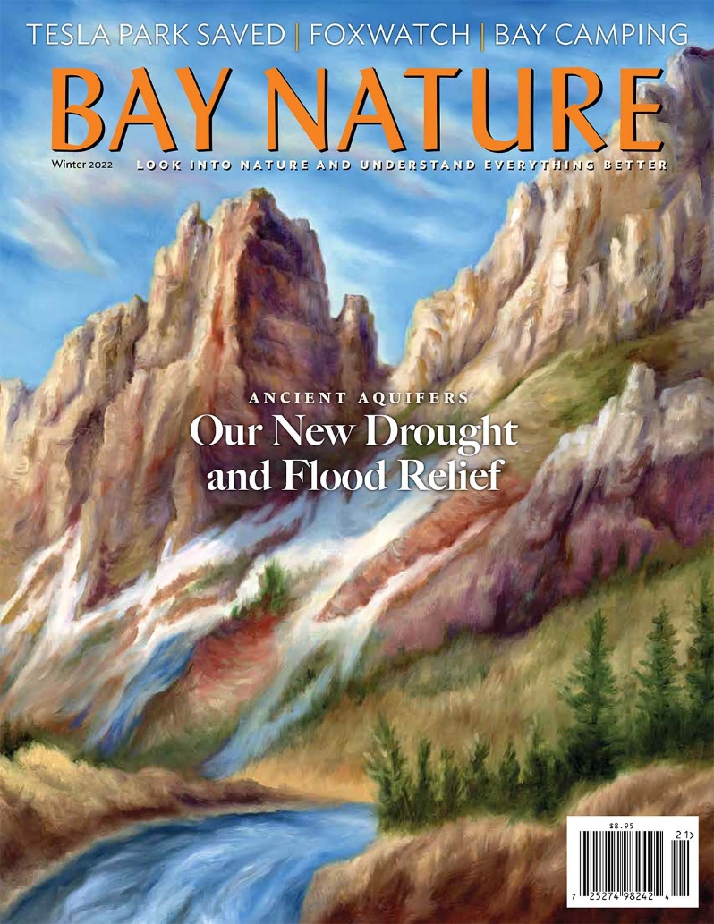 Product Description: Bay Nature's Winter 2022 issue explores the vast ancient riverbeds that flow out of the Sierra Nevada and might someday store water in droughts; talks with the gray foxes of the Palo Alto Baylands; and reviews the long history of Tesla, now likely to become a new State Park. Plus Dumbarton Quarry camping, dancing skunks, tidepool life, parasitic plants, and more.</br> Bay Nature Winter 2022