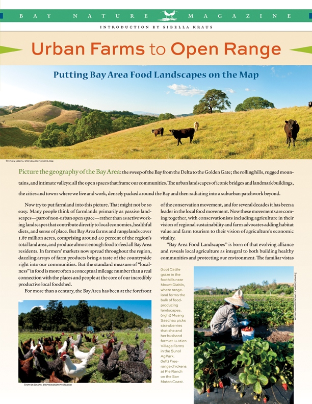 Urban Farms to Open Range