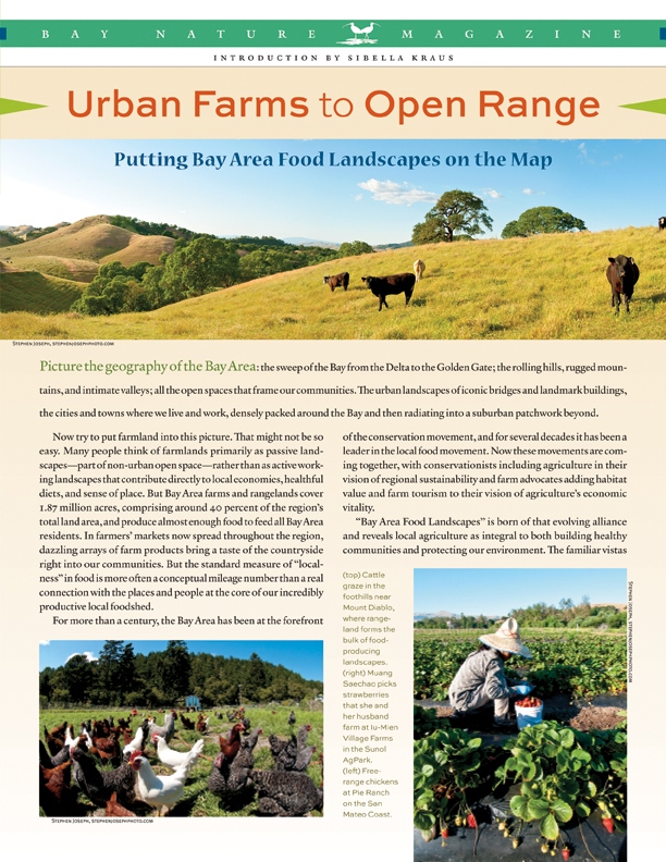 Product Description: In this section, we survey the farms and ranches that still make up some 40 percent of the Bay Area's land mass and grow enough food to feed millions of people.</br></br>To purchase supplements in bulk, please contactjenny@baynature.orgor call 510-528-8550 x100.</br> Urban Farms to Open Range