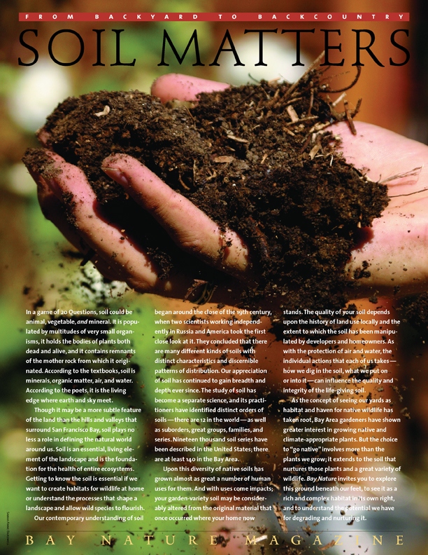 Product Description: We tend to take the ground beneath our feet for granted, but soil is a defining feature of the landscape around us, in the garden and on the trail. This beautiful guide will introduce you to the rich diversity of soils in the Bay Area and the tiny creatures that inhabit and nurture them, and giveyou tips on keeping your soil healthy and welcoming for native plants. A must-have for Bay Area gardeners!</br></br>To purchase supplements in bulk, please contactjenny@baynature.orgor call 510-528-8550 x100.</br> Soil Matters: From Backyard to Backcountry