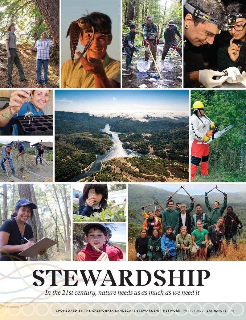 Product Description: In the 21st century, nature needs us as much as we need it.</br></br>To purchase supplements in bulk, please contactjenny@baynature.orgor call 510-528-8550 x100.</br> Special Section: Stewardship