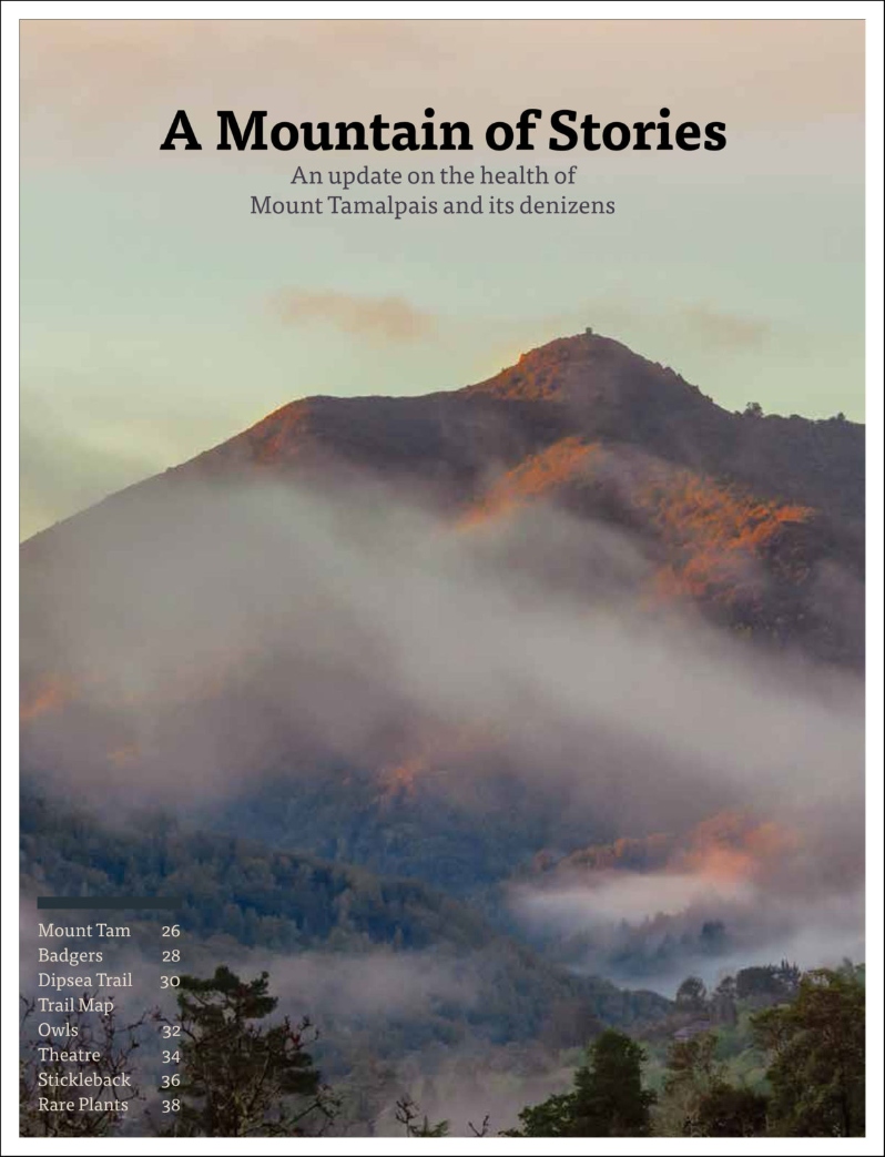 Product Description: An icon of the North Bay, a peak that orients us, and a home to many, Mount Tamalpais is the "west hill," as translated from the Coast Miwok, that defines a region. In partnership with the Tamalpais Lands Collaborative, Bay Nature writers explore the 46,000-acre area and how some of its most vital denizens are faring. Cover photo by George Ward.</br></br>To purchase supplements in bulk, please contactjenny@baynature.orgor call 510-528-8550 x100.</br> Mount Tam: A Mountain of Stories